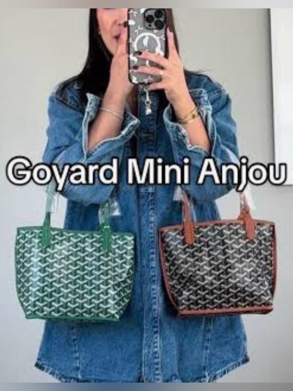 🔥Mini Goyard Tote Bag black brown pink red green